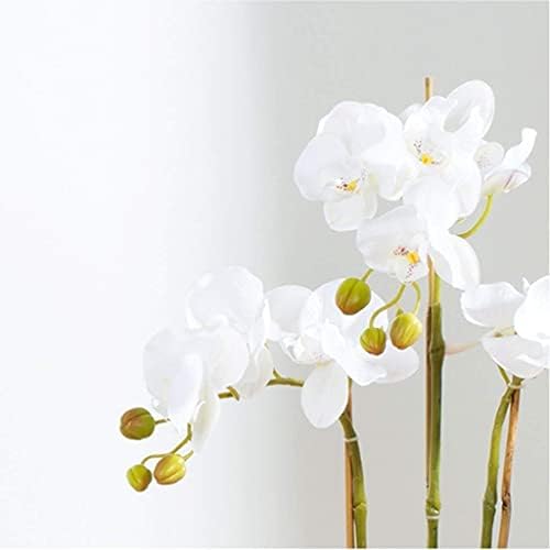 Realistic Artificial Phalaenopsis Flower Set with Glass Vase