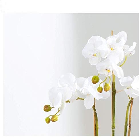 Realistic Artificial Phalaenopsis Flower Set