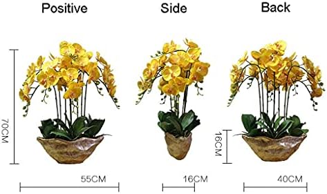 Realistic Artificial Phalaenopsis Orchid Bonsai with Resin Vase