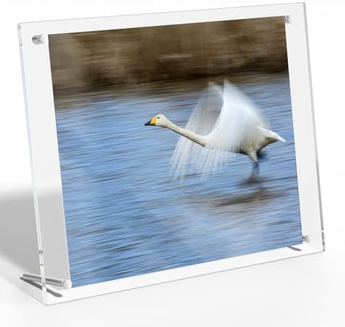 NIUBEE 85x11 Clear Acrylic Floating Photo Frame