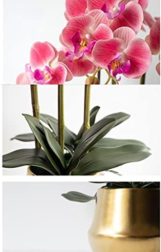 NDRFAWY Artificial Flower Phalaenopsis Bouquet with Vase Set
