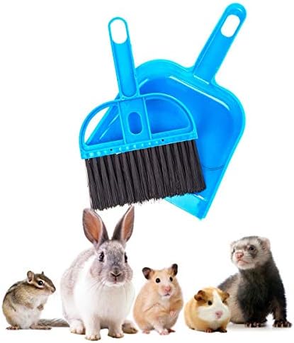 Mini Broom and Dustpan Set - Blue Broom