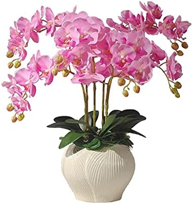 Realistic Artificial Orchid Set with Ceramic Vase