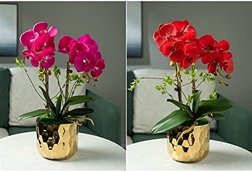 Realistic Artificial Butterfly Orchid Set with Ceramic Vase