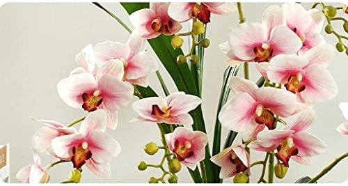 NDRFAWY Artificial Orchid Flower Set with Ceramic Vase