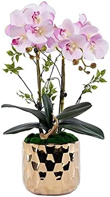 Realistic Artificial Butterfly Orchid with Ceramic Vase Set