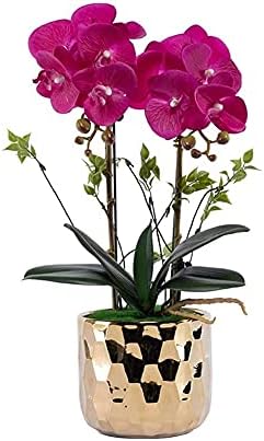 Realistic Artificial Butterfly Orchid Set with Ceramic Vase