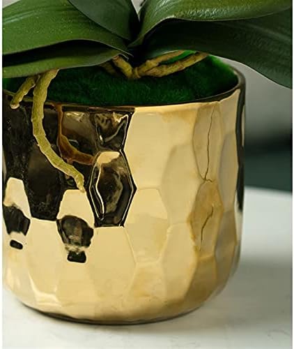 Realistic Artificial Butterfly Orchid with Ceramic Vase Set