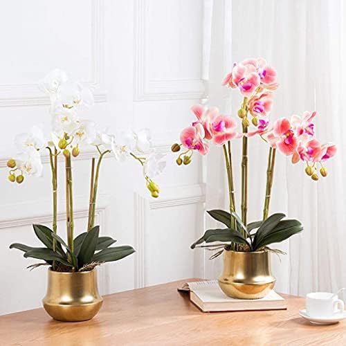 Realistic Artificial Phalaenopsis Flower Set with Glass Vase