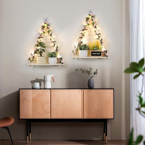 EXIN DECHEN Floating Shelves with Light and Plants Set of 2