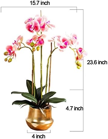 Realistic Artificial Phalaenopsis Flower Set with Glass Vase