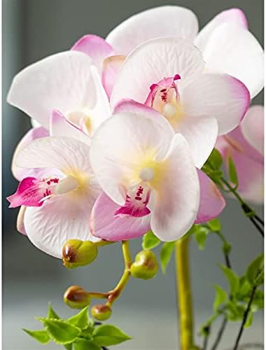 Realistic Artificial Butterfly Orchid with Ceramic Vase Set