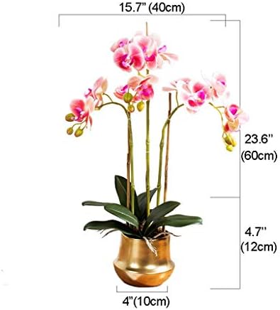 Realistic Artificial Phalaenopsis Flower Set