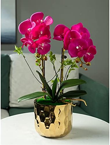 Realistic Artificial Butterfly Orchid Set with Ceramic Vase