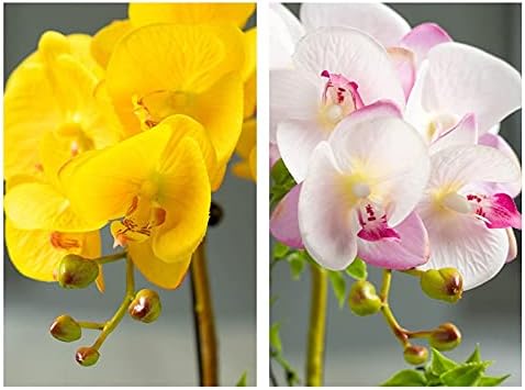 Realistic Artificial Butterfly Orchid with Ceramic Vase Set