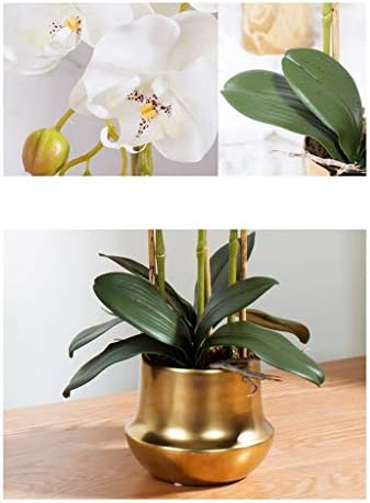 Realistic Artificial Phalaenopsis Flower Set