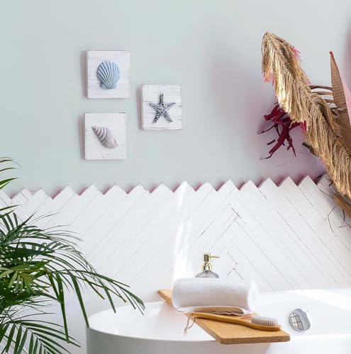 Tide and Tales 3D Seashell Wall Art Set