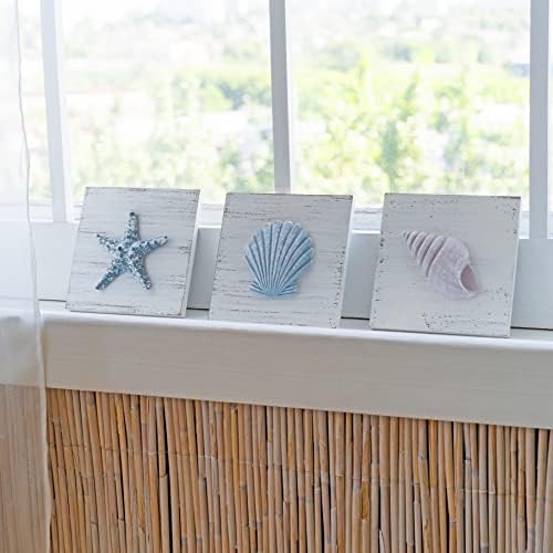 Tide and Tales 3D Seashell Wall Art Set