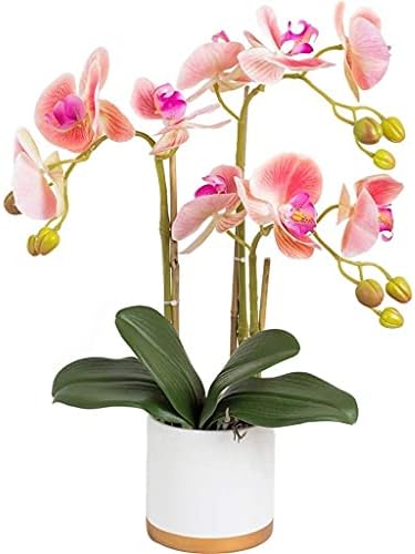 NDRFAWY Home Phalaenopsis Artificial Flower Set