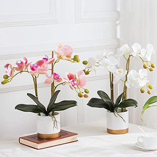 NDRFAWY Home Phalaenopsis Artificial Flower Set