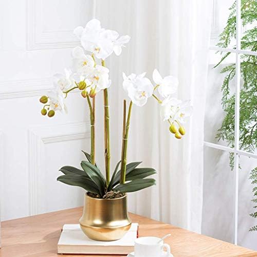 Realistic Artificial Phalaenopsis Flower Set