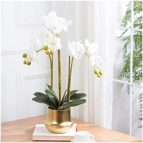 Realistic Artificial Phalaenopsis Flower Set with Glass Vase