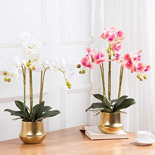 Realistic Artificial Phalaenopsis Flower Set