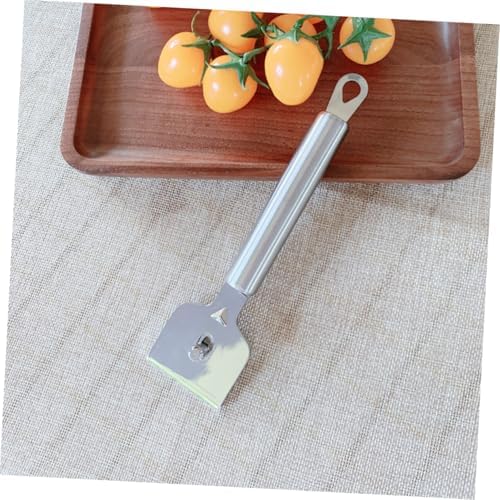 Healvian Stainless Steel Cleaning Scraper Multi-Purpose