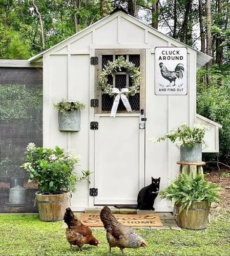 Funny Chicken Tin Sign for Home Farm Decor 1
