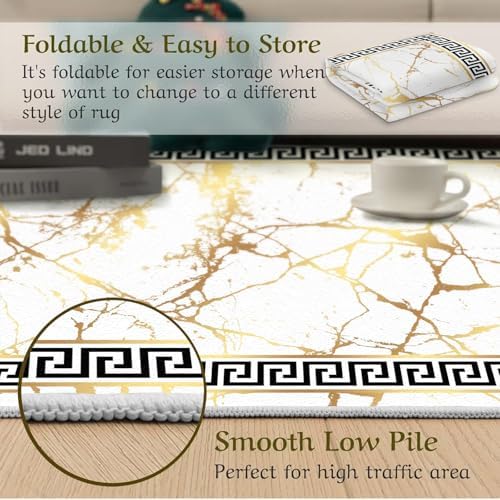 ZAOMIR 6x9 Abstract Art Golden Crack Area Rug