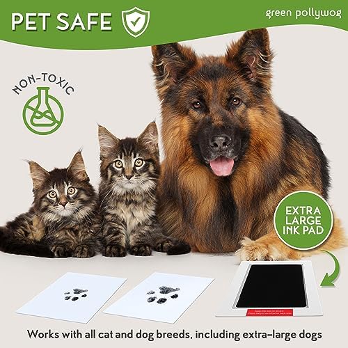 Green Pollywog Wooden Pawprint Frame Kit