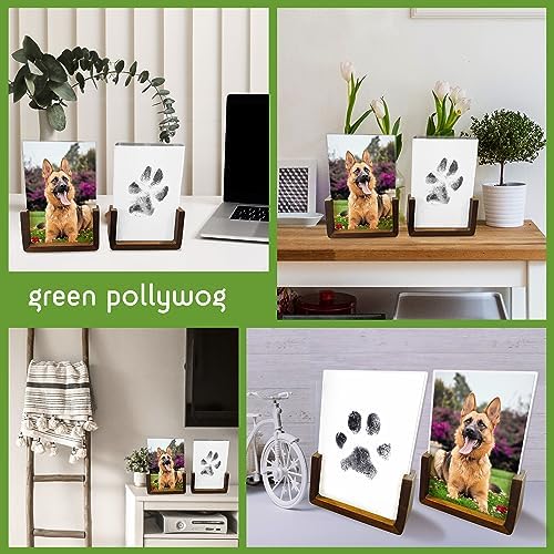 Green Pollywog Wooden Pawprint Frame Kit