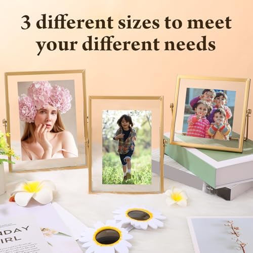 Amyhill 6 Piece Gold Floating Picture Frame Set