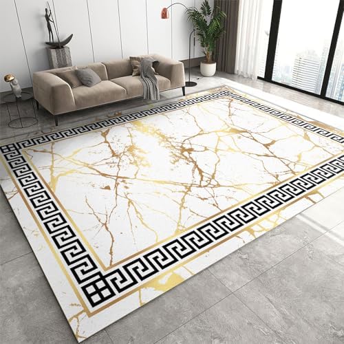 ZAOMIR 6x9 Abstract Art Golden Crack Area Rug