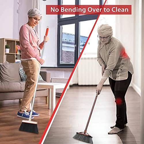 JEHONN Carpet Sweeper Manual with Horsehair Broom and Dustpan Set