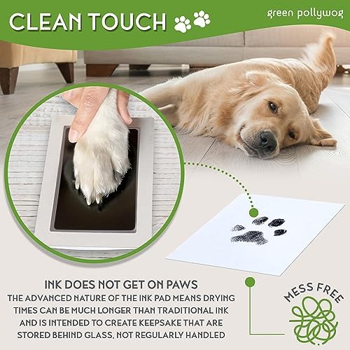 Green Polywog Paw Print Pet Keepsake Frame Kit