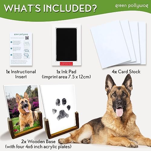 Green Pollywog Wooden Pawprint Frame Kit