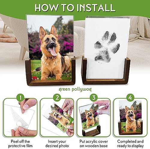 Green Pollywog Wooden Pawprint Frame Kit