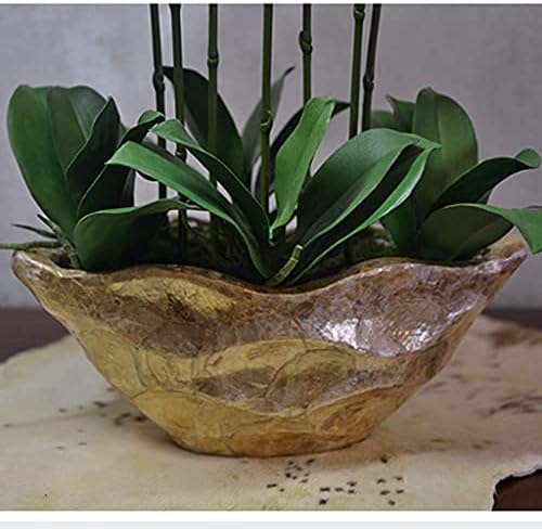Realistic Artificial Phalaenopsis Orchid Bonsai with Resin Vase