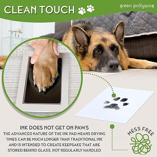 Green Pollywog Wooden Pawprint Frame Kit