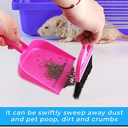 Mini Broom and Dustpan Set - Blue Broom
