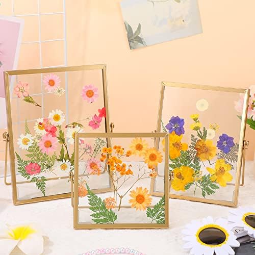 Amyhill 6 Piece Gold Floating Picture Frame Set