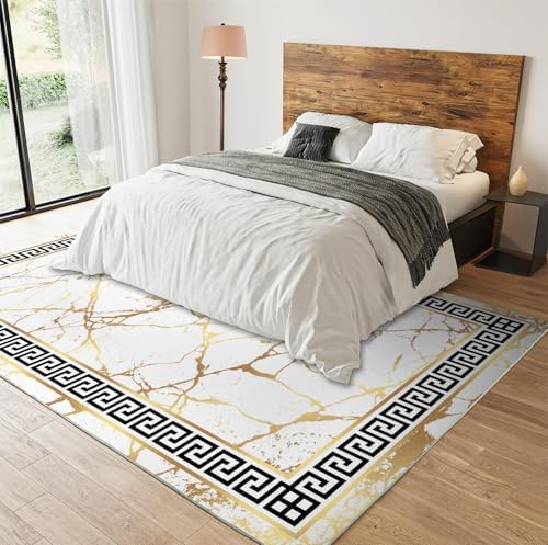 ZAOMIR 6x9 Abstract Art Golden Crack Area Rug