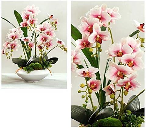 NDRFAWY Artificial Orchid Flower Set with Ceramic Vase