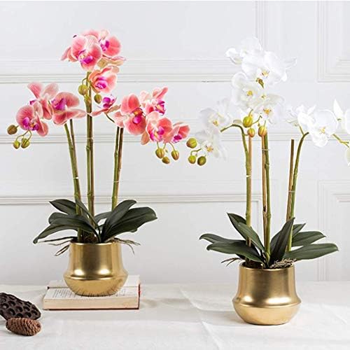 Realistic Artificial Phalaenopsis Flower Set