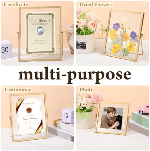 Amyhill 6 Piece Gold Floating Picture Frame Set