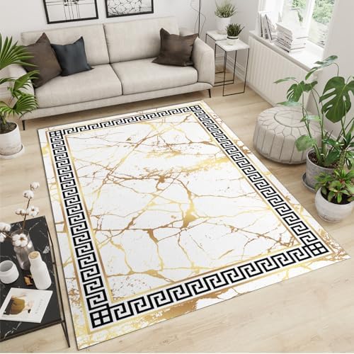 ZAOMIR 6x9 Abstract Art Golden Crack Area Rug