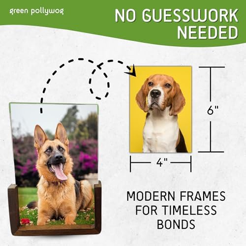 Green Pollywog Wooden Pawprint Frame Kit