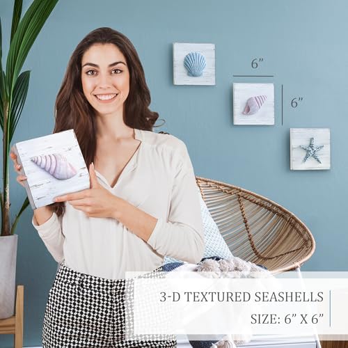 Tide and Tales 3D Seashell Wall Art Set