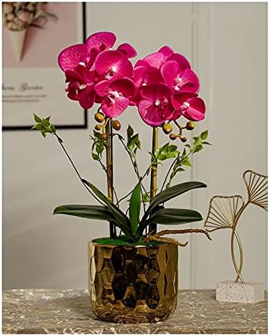 Realistic Artificial Butterfly Orchid Set with Ceramic Vase